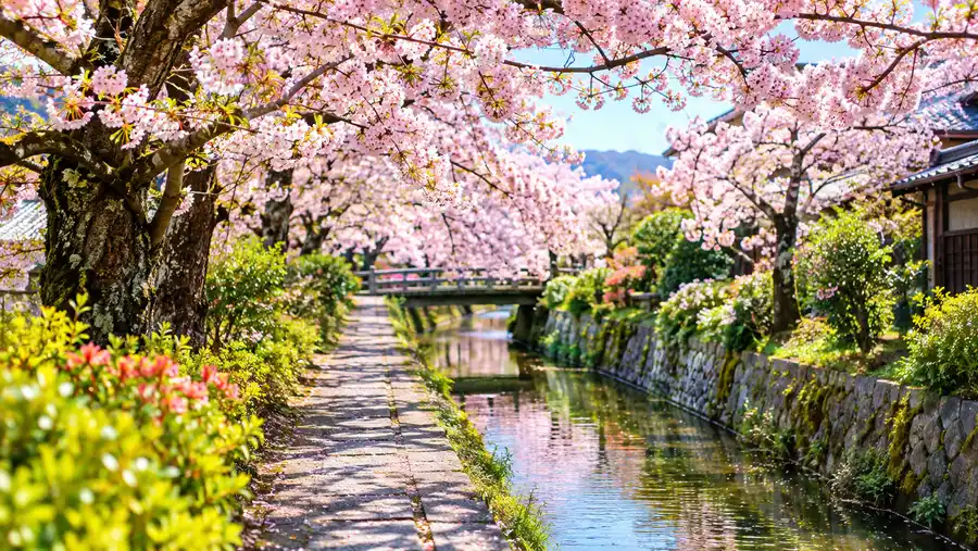 Best Time to Visit Kyoto's Philosopher's Path: Seasons & Events