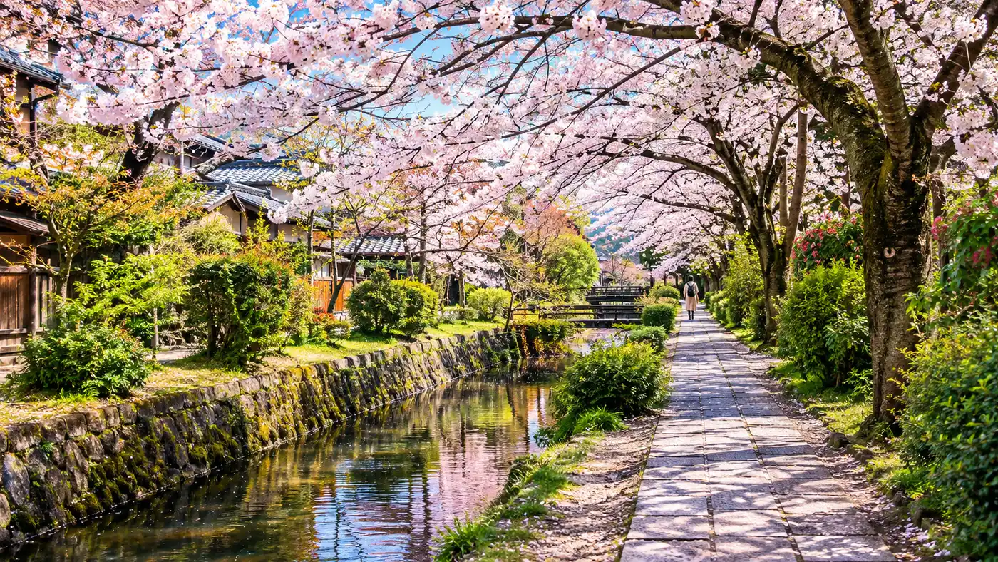 Best Time to Visit Kyoto's Philosopher's Path: Seasons & Events