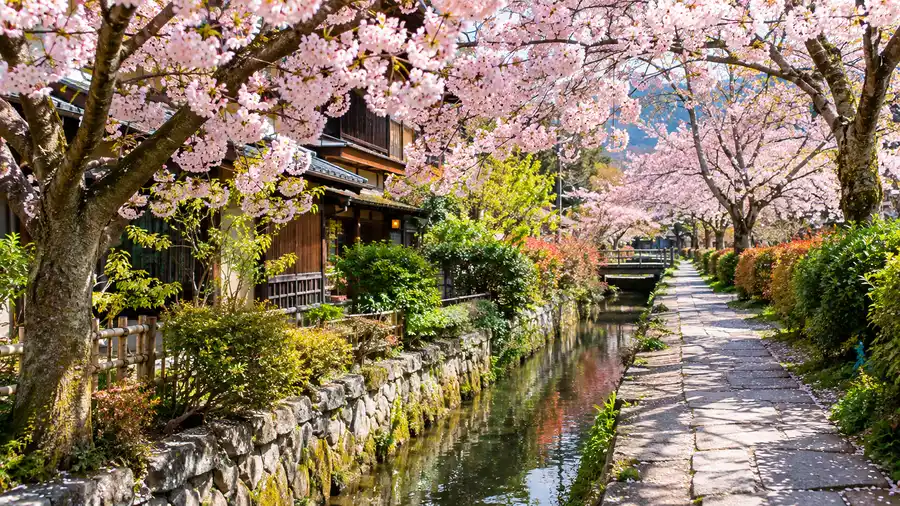 Best Restaurants & Hotels Near Kyoto's Philosopher's Path