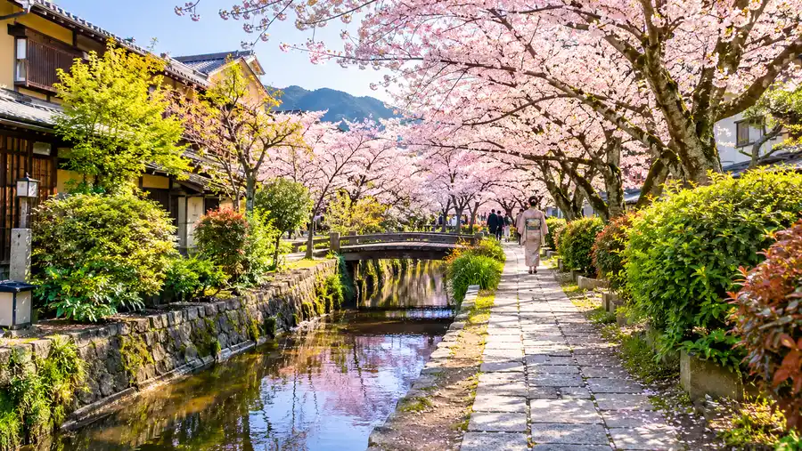 Best Restaurants & Hotels Near Kyoto's Philosopher's Path